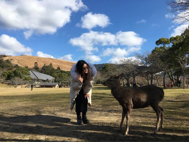 日本大阪城攻略,大阪日本攻略