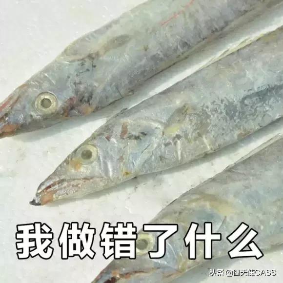 东北都有貂吗,在东北没有雪地靴不行吗