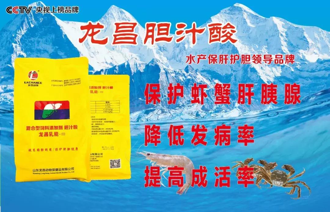 南美白对虾的养殖秘笈,土塘南美白对虾养殖成功案例