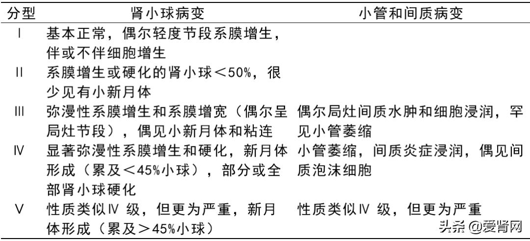 非iga系膜增生性肾小球肾炎预后,隐匿性肾小球肾炎和iga肾病预后