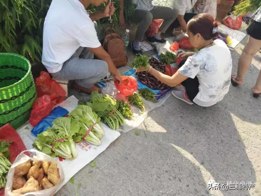 三穗县城几号赶场 (三穗赶场视频完整版)