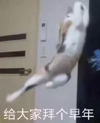 好玩的不要网的手机游戏单机游戏,无网情况可以玩的单机游戏