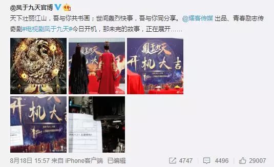 凤于九天小说剧情大概,凤于九天小说完结本