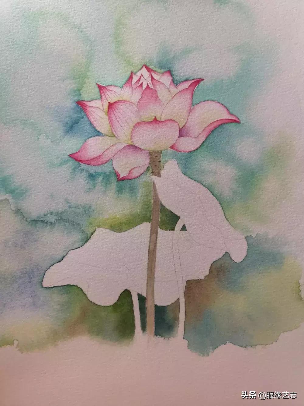 水彩莲花画法教程,白色荷花水彩画法教程