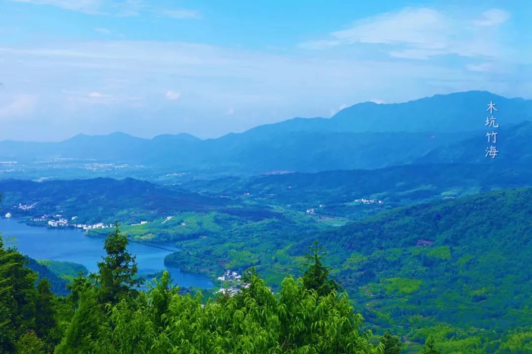 带着狗子旅行推荐,带着狗狗游新疆