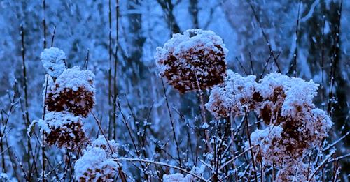 他是珠宝界的叛徒,但一件珠宝就能卖600万