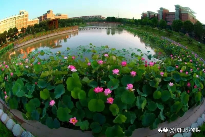 河南开放大学校园风景,河南大学校园风景园林