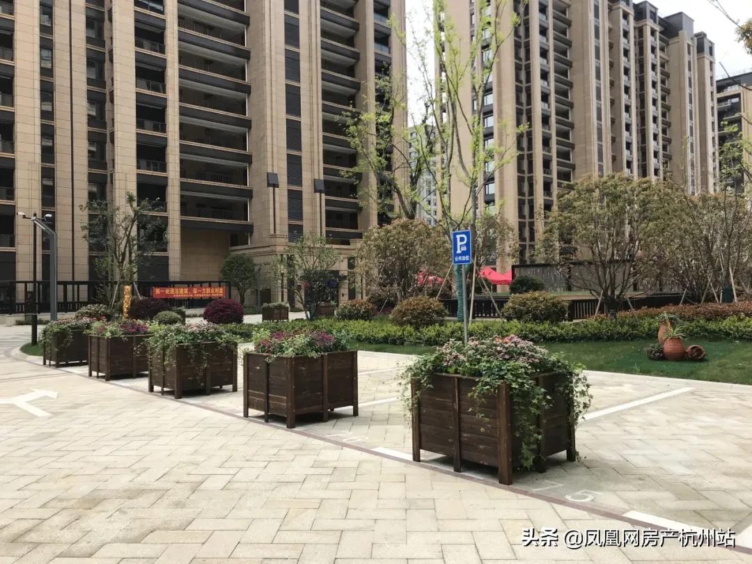 新天地业主的午后时光,新天地金色时光有活动吗