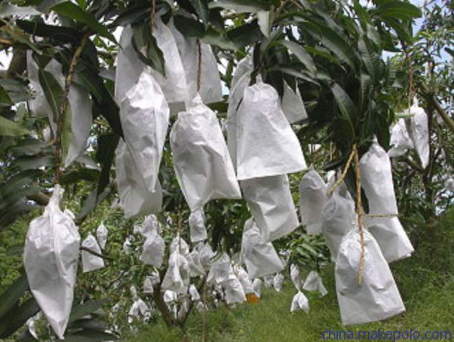 濂楄鐭虫Υ,鐭虫Υ濂楄鍜屼笉濂楄鐨勫ソ澶勪笌缂虹偣