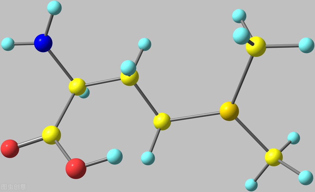 20210625-大豆是健康食品还是对您有害?(不同但有据的观点)