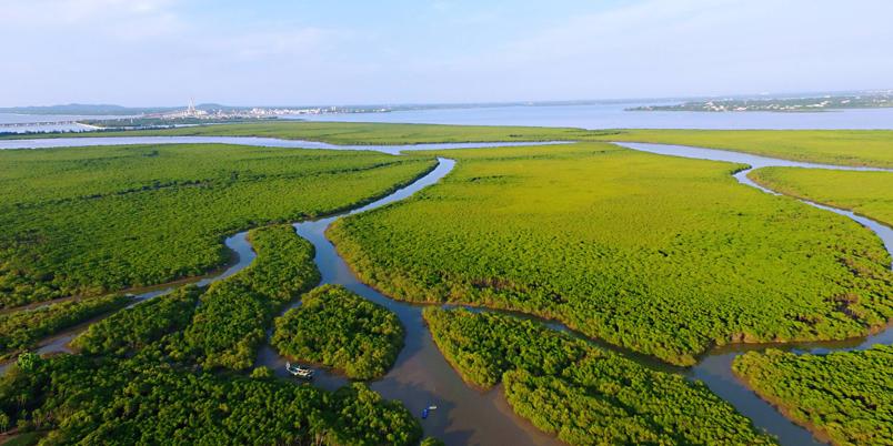 靠海吃海边海鲜,靠海吃海海鲜餐厅