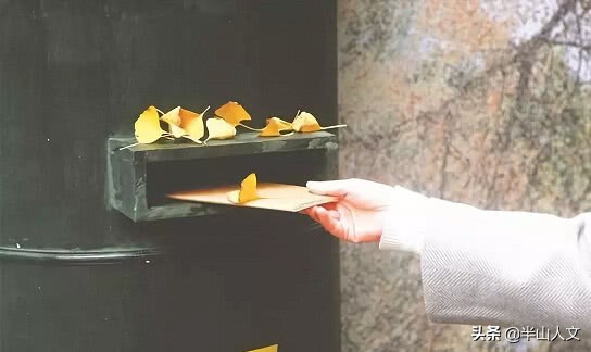 半山故事丨与网友侃写作