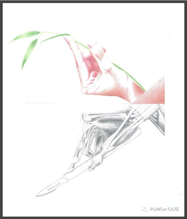 灵魂画手原创上热门,灵魂画手来了图片