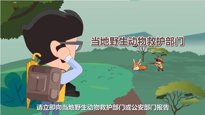 拯救野生动物和保护环境的重要性,我们该怎么保护环境保护动物