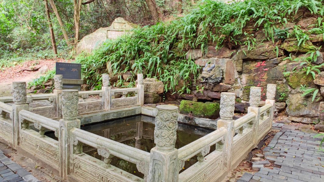 青秀山有什么独特之处,青秀山里有什么美景