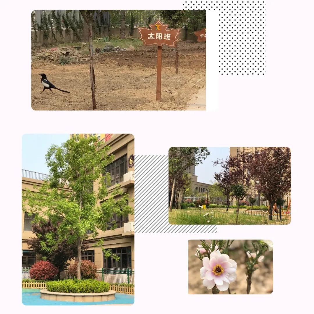 五龙汇爱幼稚园,郑州五龙新城汇爱幼儿园