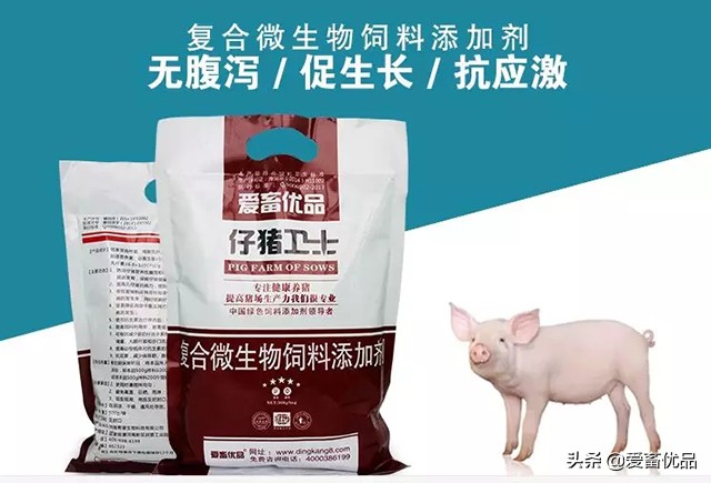 仔猪病毒性腹泻怎么治疗,仔猪传染性腹泻怎么治