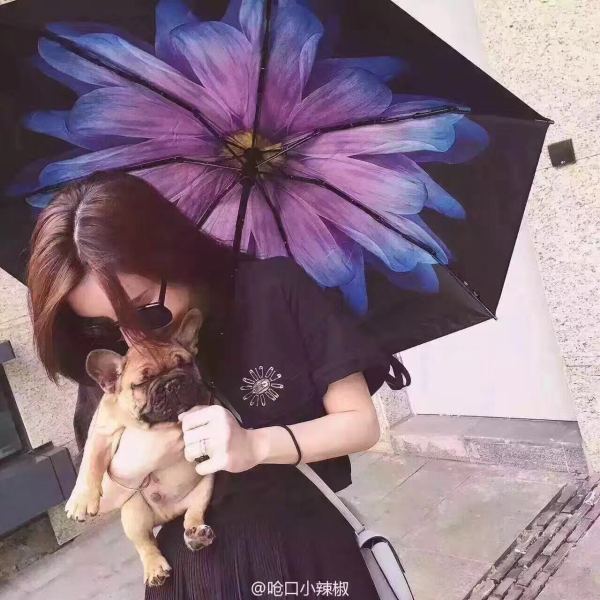 中国十大最受欢迎的潮流潮牌大全,十大冷门潮牌排行榜