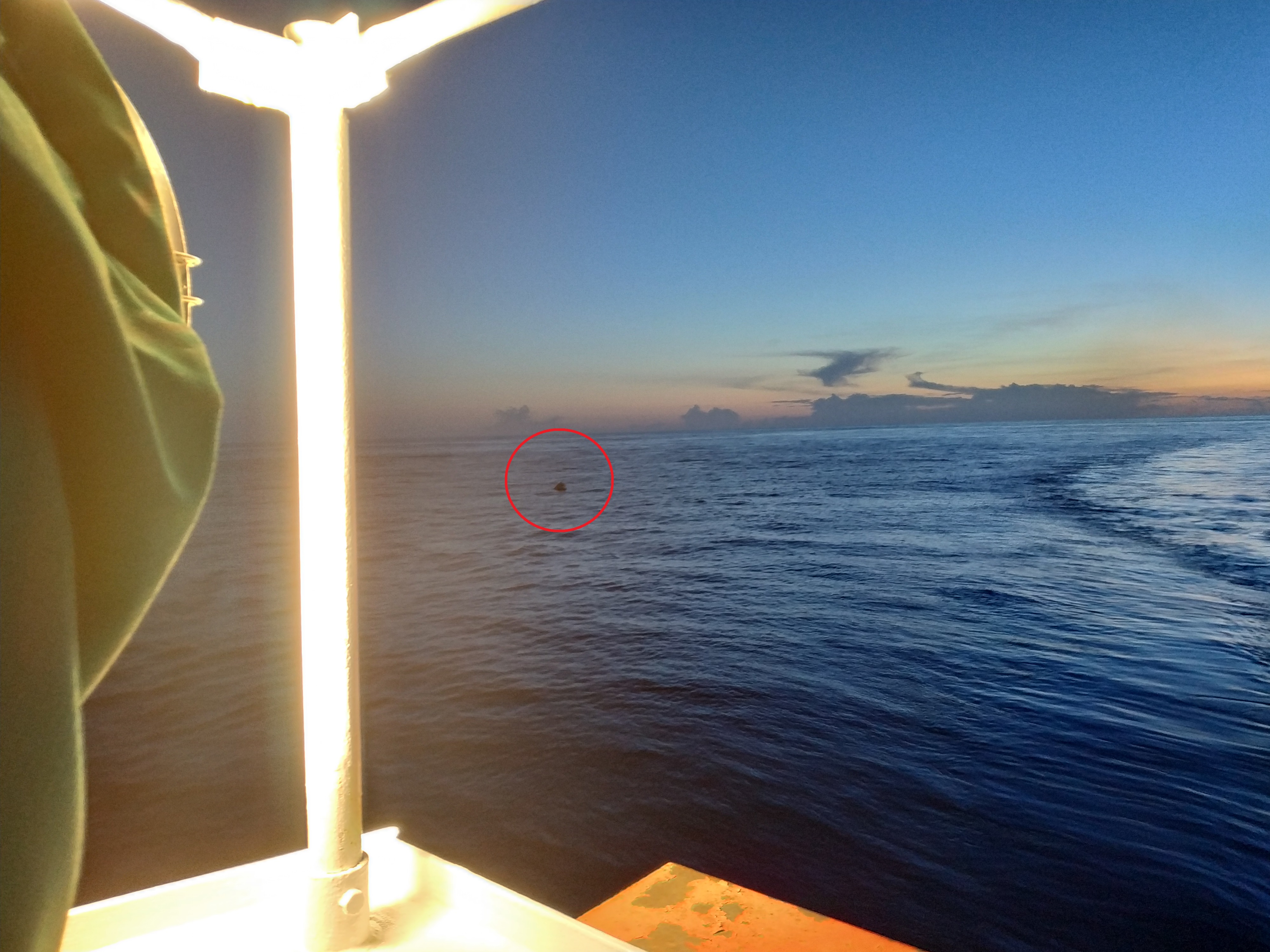 远洋货轮救生船,远洋货轮遇险救援