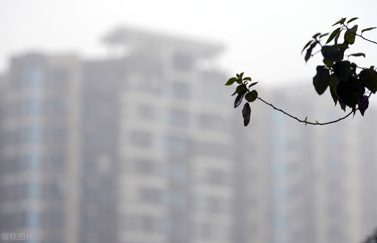 令人叹绝成语,成语令人发指令人作呕