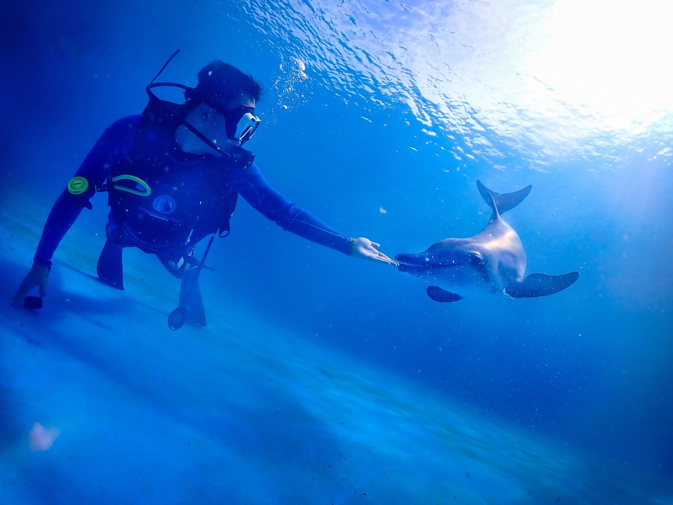 三亚学潜水机构推荐,三亚学潜水哪个最专业