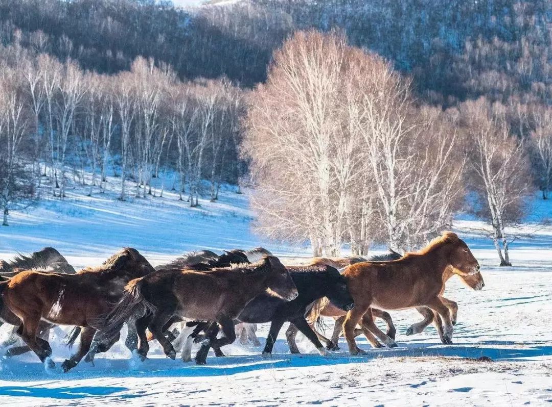 坝上屋一组坝上屋,坝上坝下什么意思