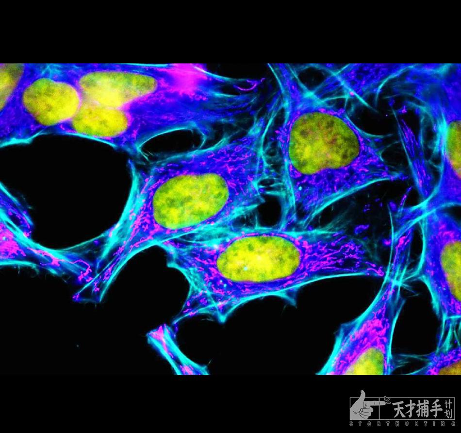 她真的拯救了全世界，但没来得及提要求就离世了