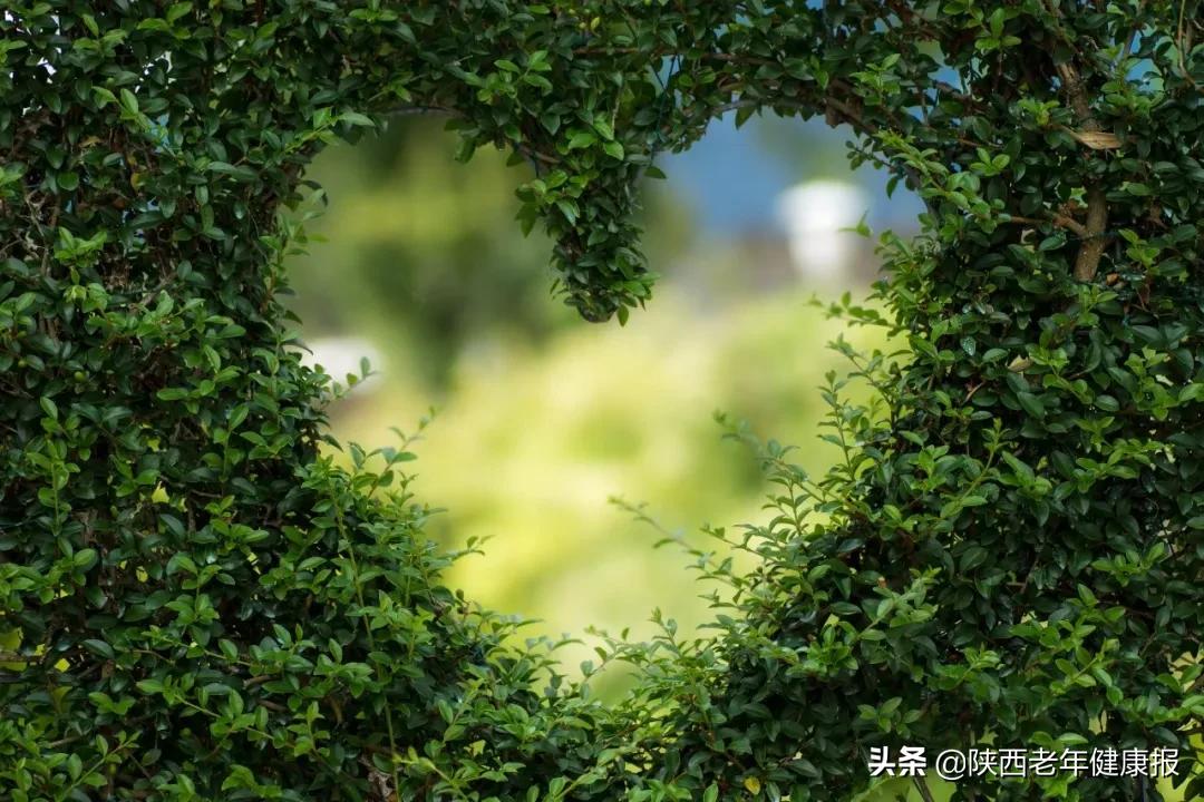 被毒隐翅虫咬怎么治疗,中了隐翅虫毒有什么感觉