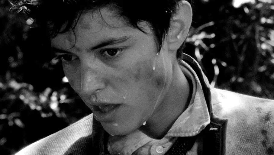 年度十佳之冠，竟然是这样的限制级！