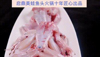 这家重庆美蛙鱼头火锅超燃超过瘾,美蛙鱼头味之绝新街口