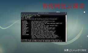 Linuxdd命令日常使用案例
