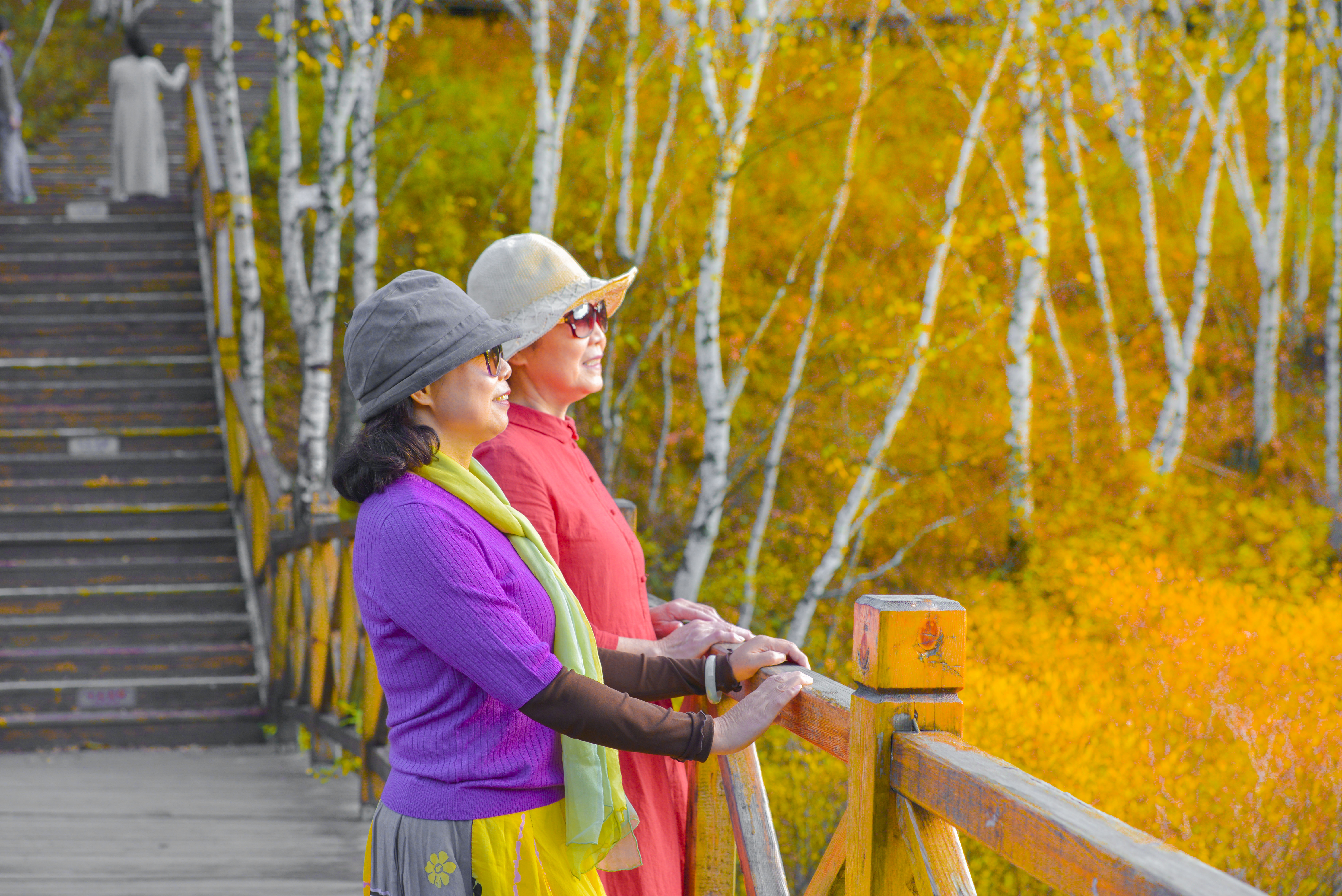 丰宁神仙谷七彩森林景区地图,丰宁坝上七彩森林游玩攻略