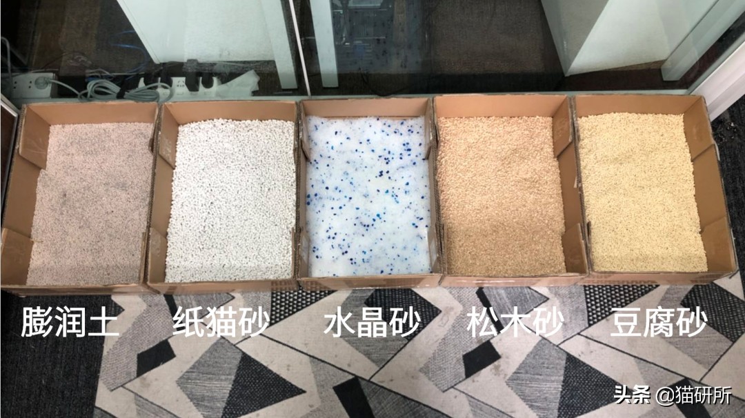选猫砂防臭,天然矿石猫砂推荐测评