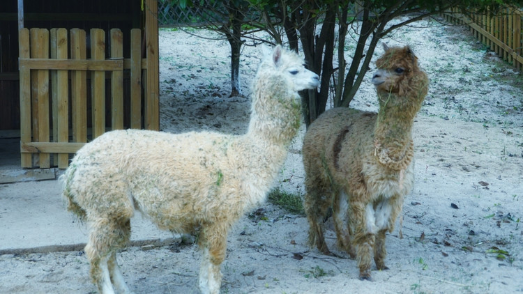 茅山宝盛园周边游玩,茅山宝盛园所有游乐设施