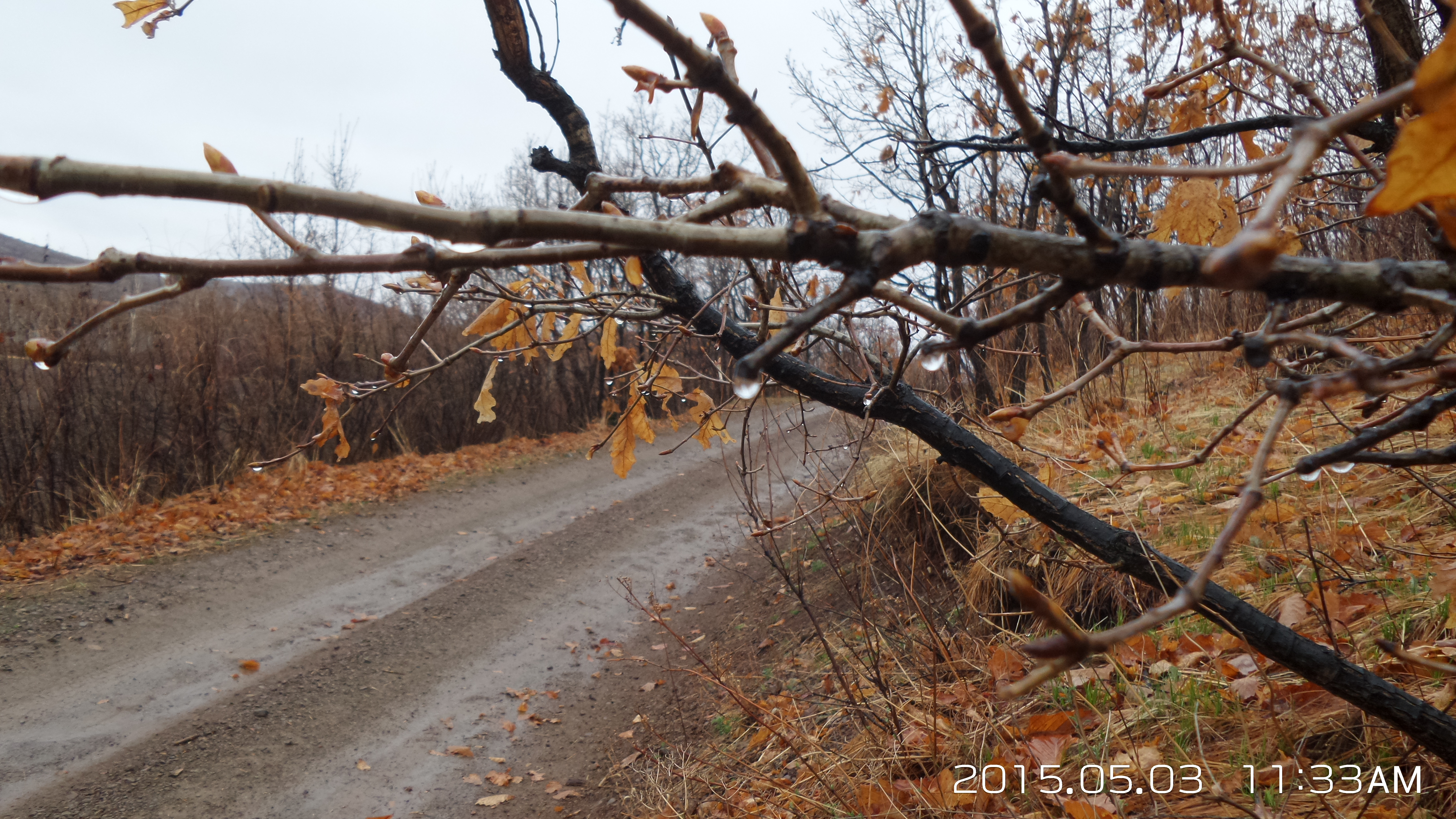 大山里的苦日子视频,你见过最苦的生活是什么样的