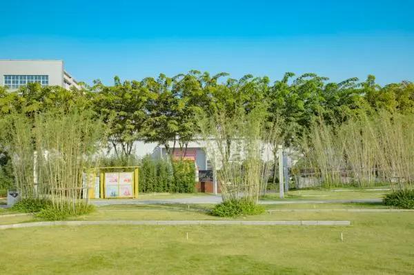 去深圳十大景点,到深圳必玩十大景区1天时间够吗