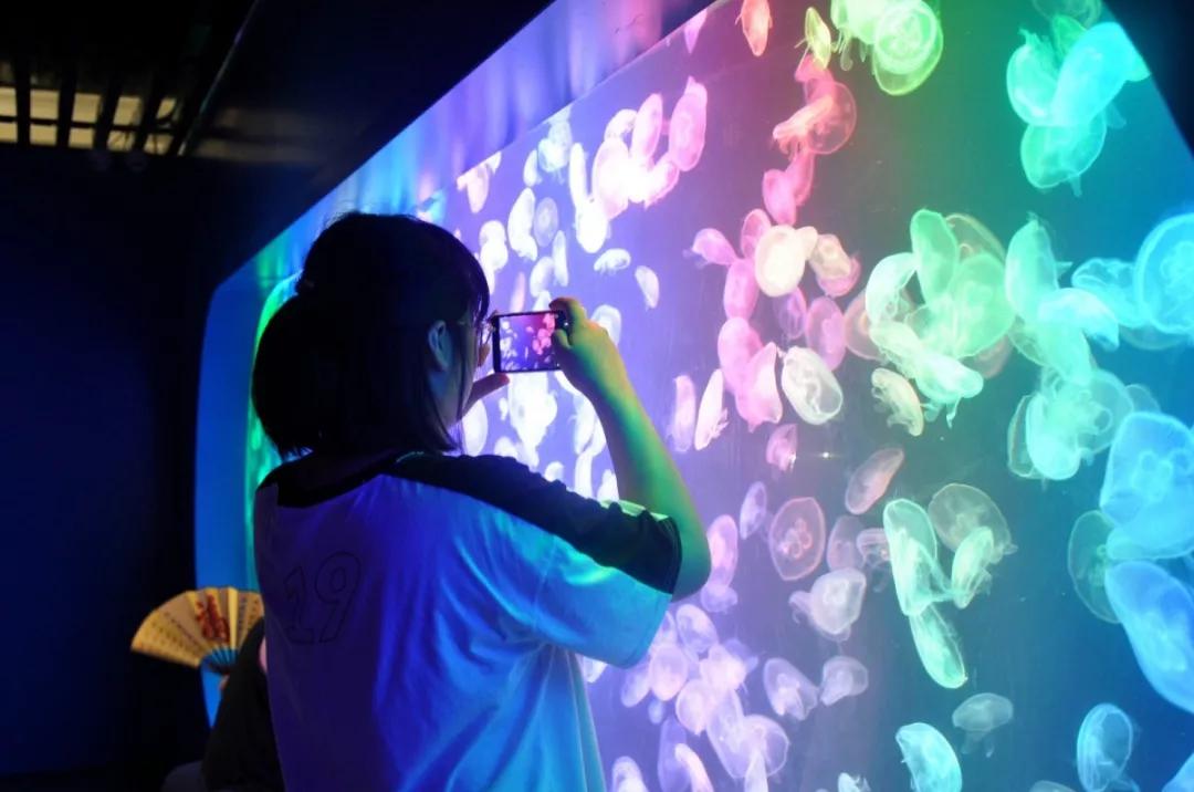 海底世界搬到自己家,海底世界聊城入园