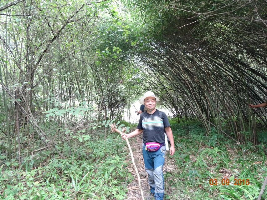 西漂湾瀑布群,建始西漂湾瀑布群