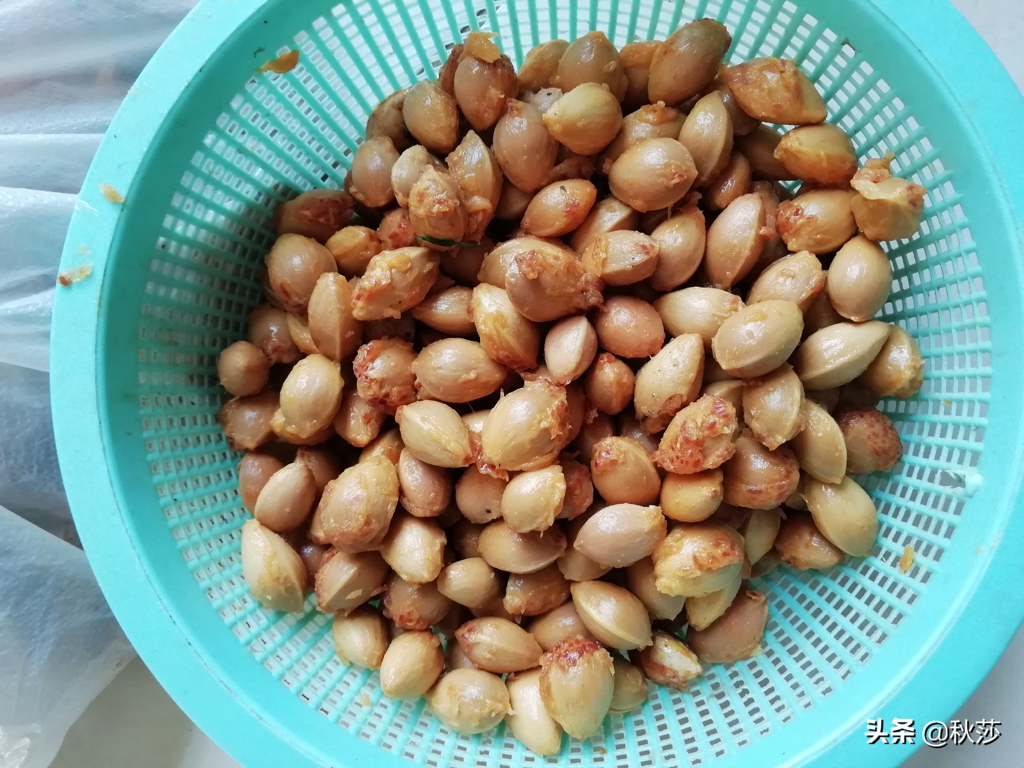 深秋拾黄叶,苏州收白果