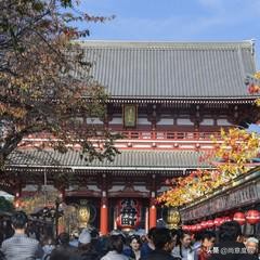 第一次去日本旅游好还是跟团好,第一次去日本跟团