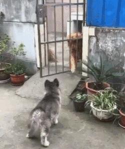 亲身经历过哪些坑,亲身经历致命骗局