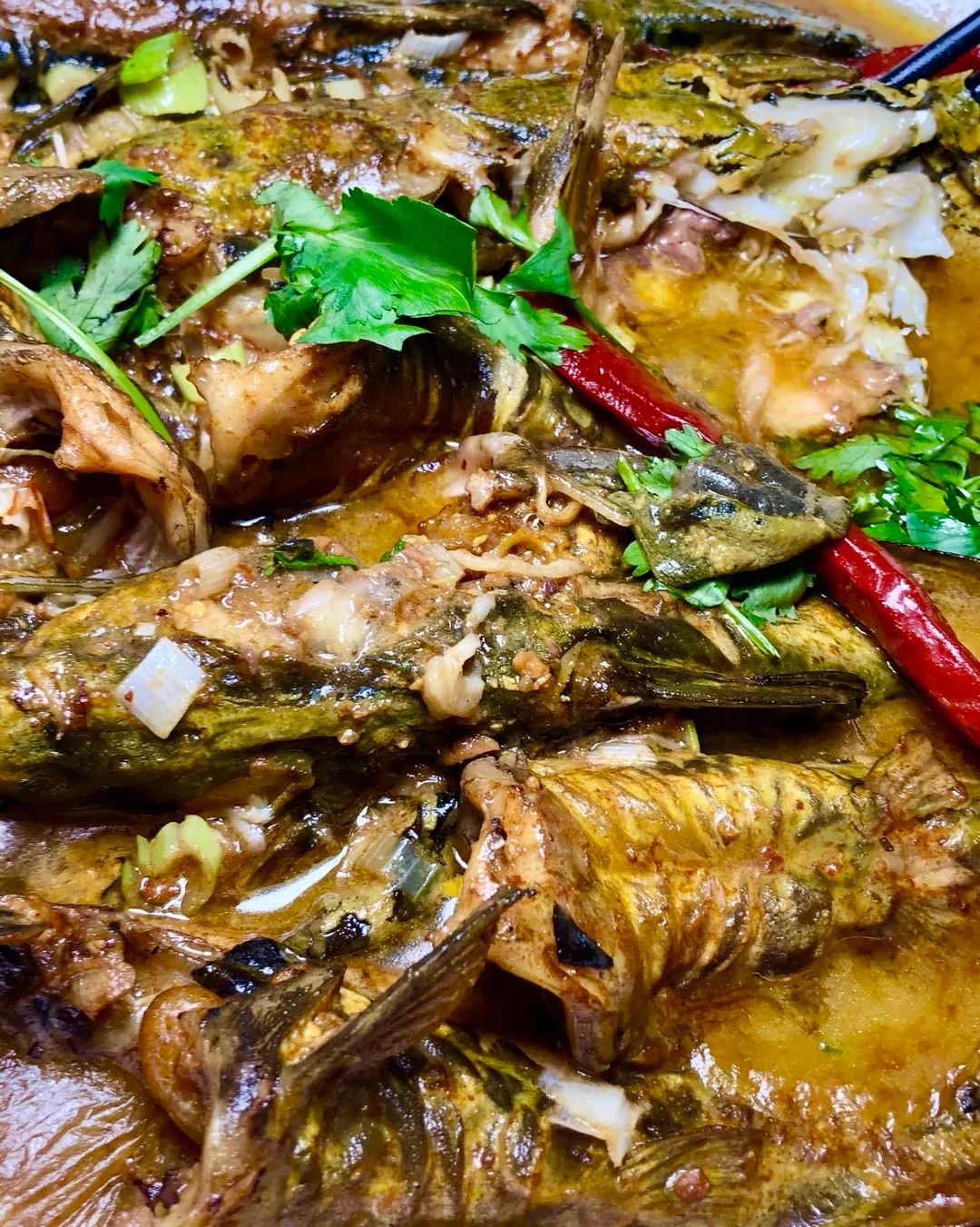 在长春想吃海鲜去哪里,长春哪家鱼馆江鱼好吃