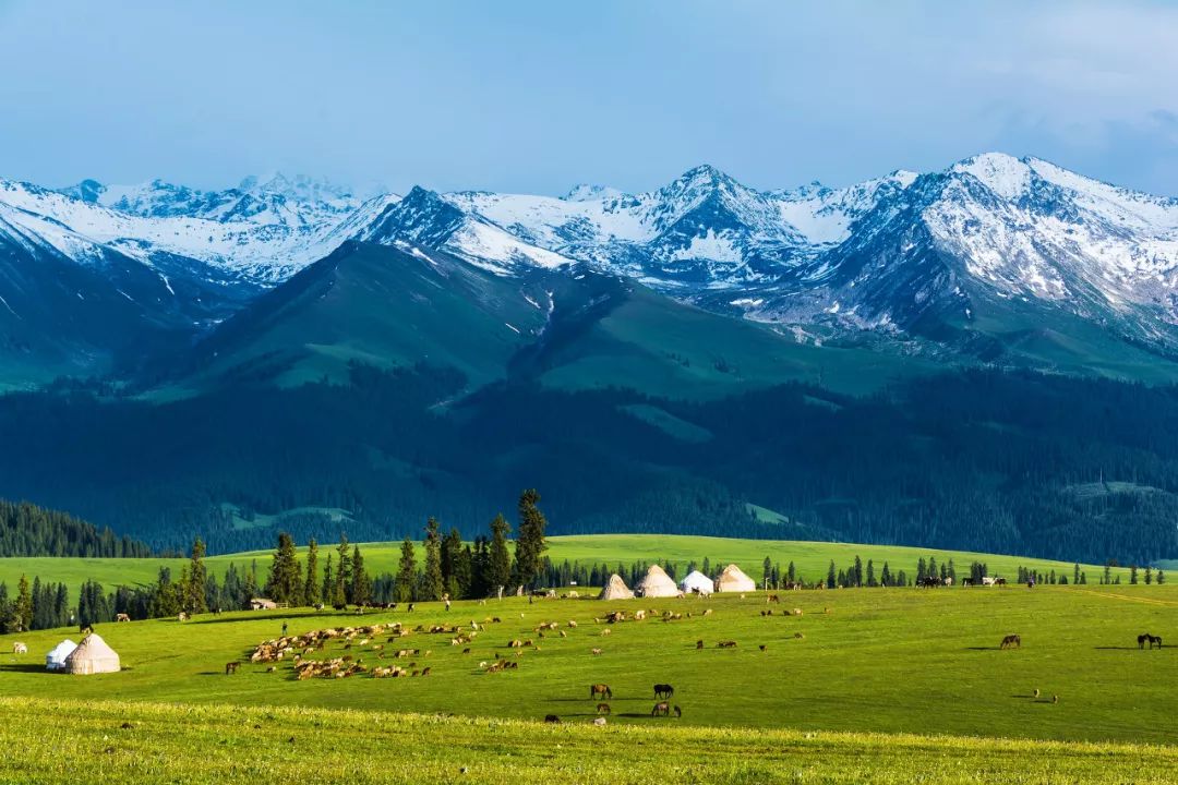 六月的北疆哪些地方值得去,六月的北疆解说