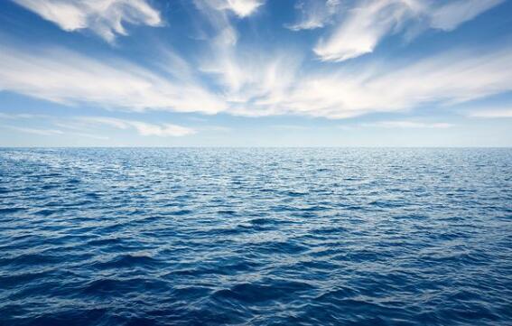 海洋中可怕的杀手,海洋隐藏的杀手