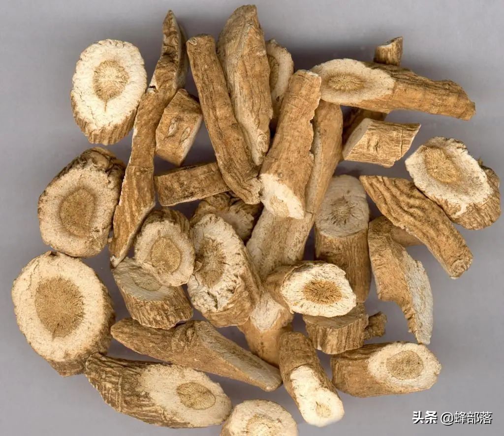 种植药材好的致富项目是什么,当前热门农村药材种植项目推荐