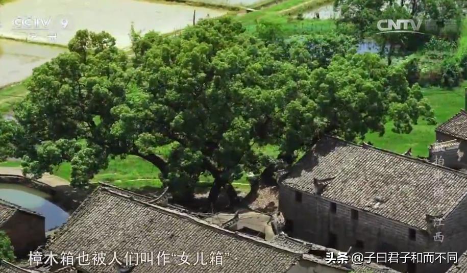 航拍中国江西完整版,航拍中国鄱阳湖