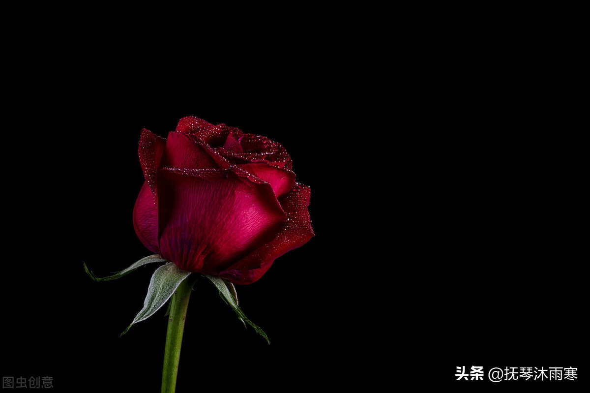 你有你的难我有我的身不由己 (问心有愧和偏要勉强的古文)