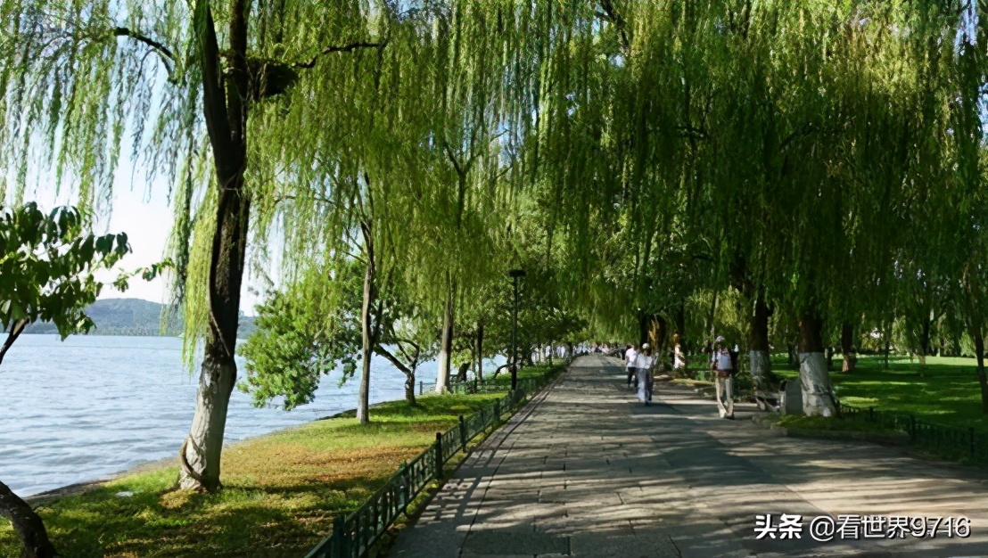 杭州西湖柳浪闻莺图片,杭州西湖风景名胜区柳浪闻莺