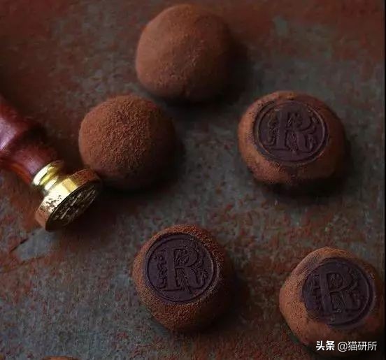 猫咪误食巧克力酱多久会中毒,猫咪不小心偷吃了一点点巧克力