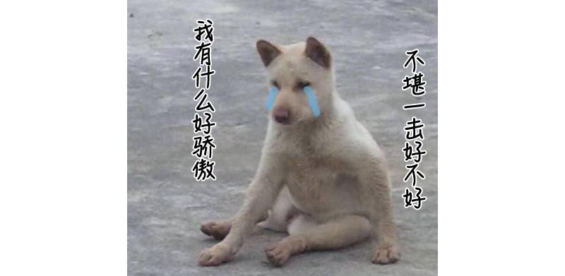 忍了半个月!掐着排卵期万“精”齐发,为啥就是怀不上?!